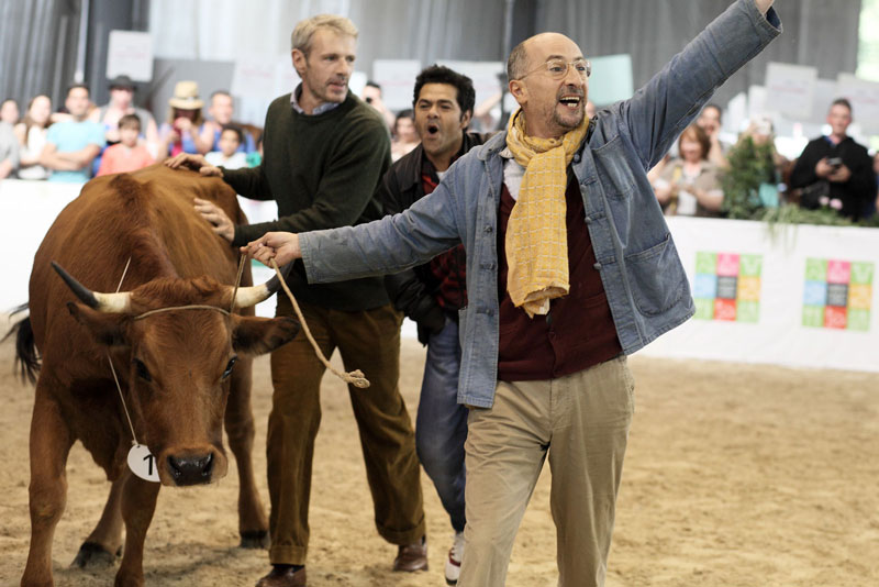 Mohamed Hamidi : La vache