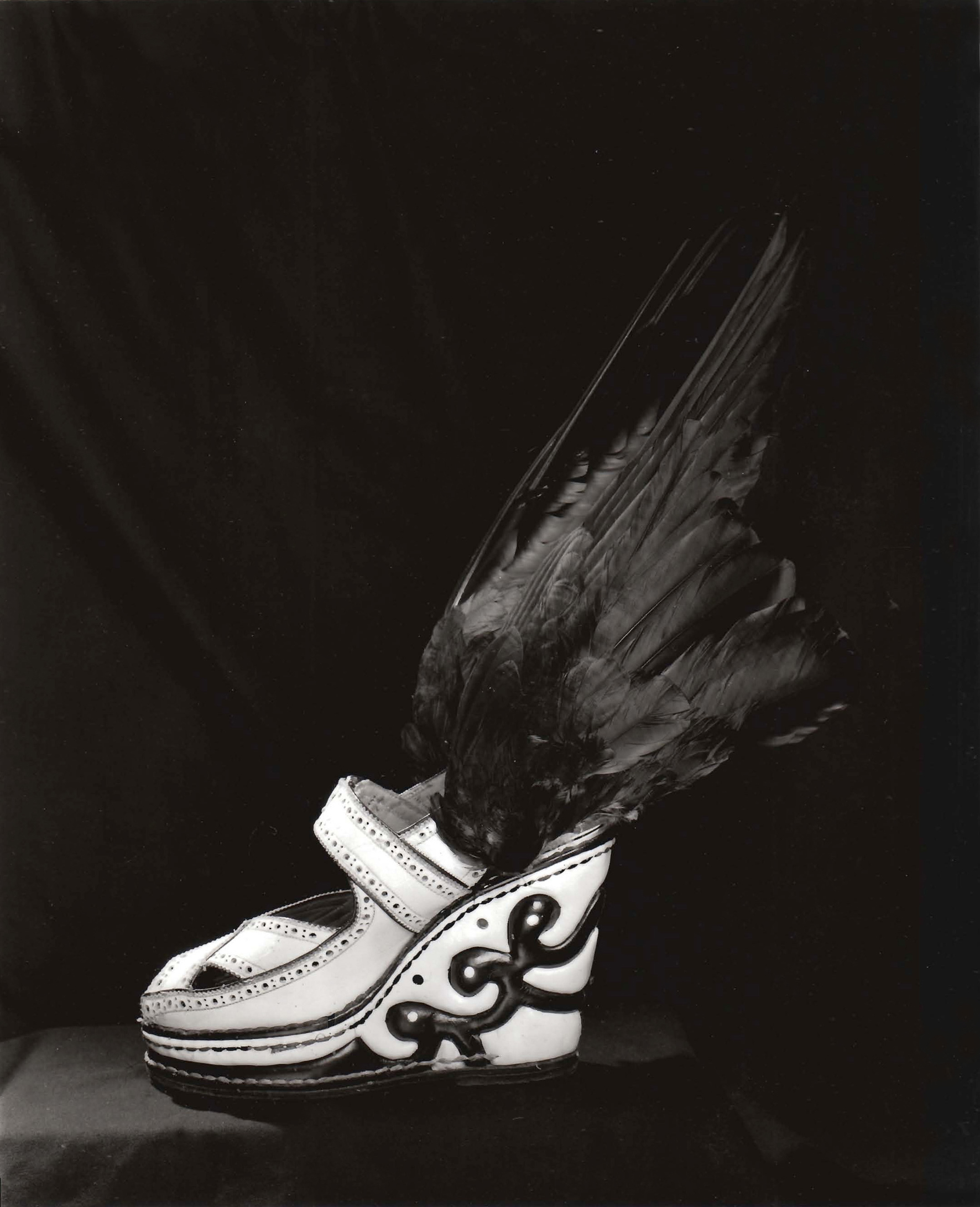 Photographie  : Transes macabres 