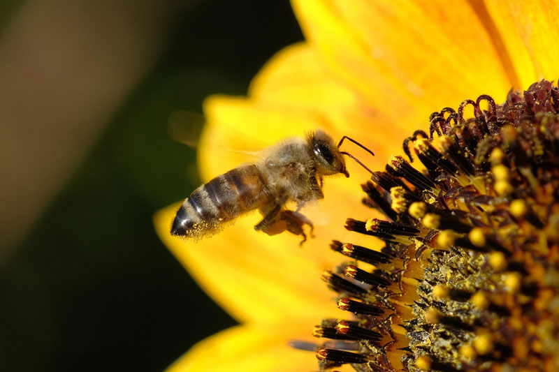 France : Le rejet massif d’une loi agricole