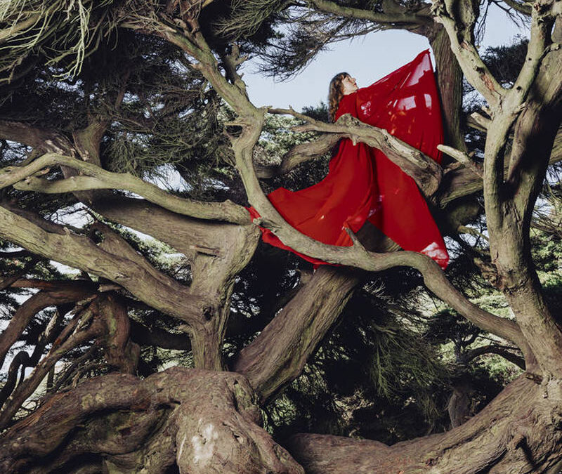 Musiktipp: Nested In Tangles