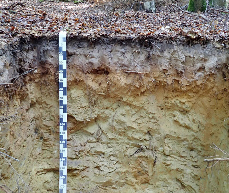 Bodenschutz: Auf wackligem Grund