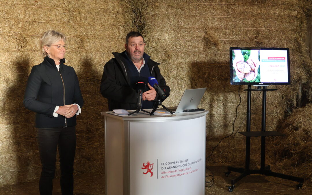 Biologische Landwirtschaft: Zwischen Realismus und Rückschritt