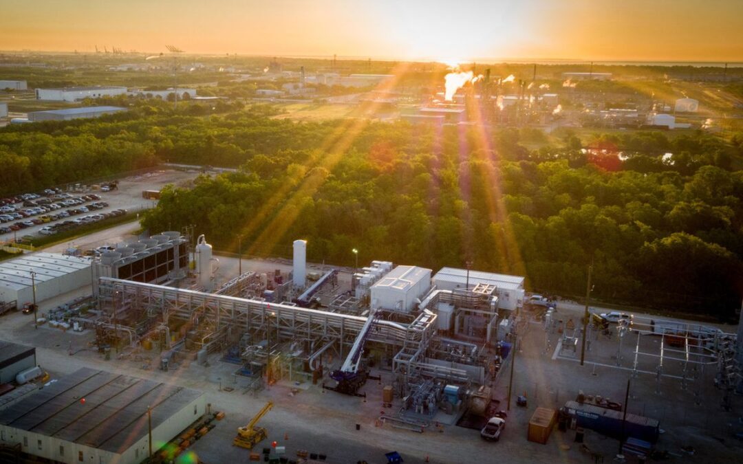 CO2-Speicher: Keine Wunderwaffe in der Klimakrise