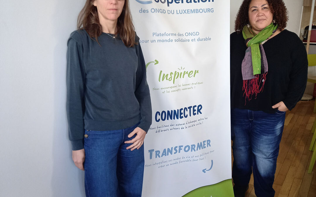 Aide au développement : « Nous ignorons l’origine des prises de décisions »