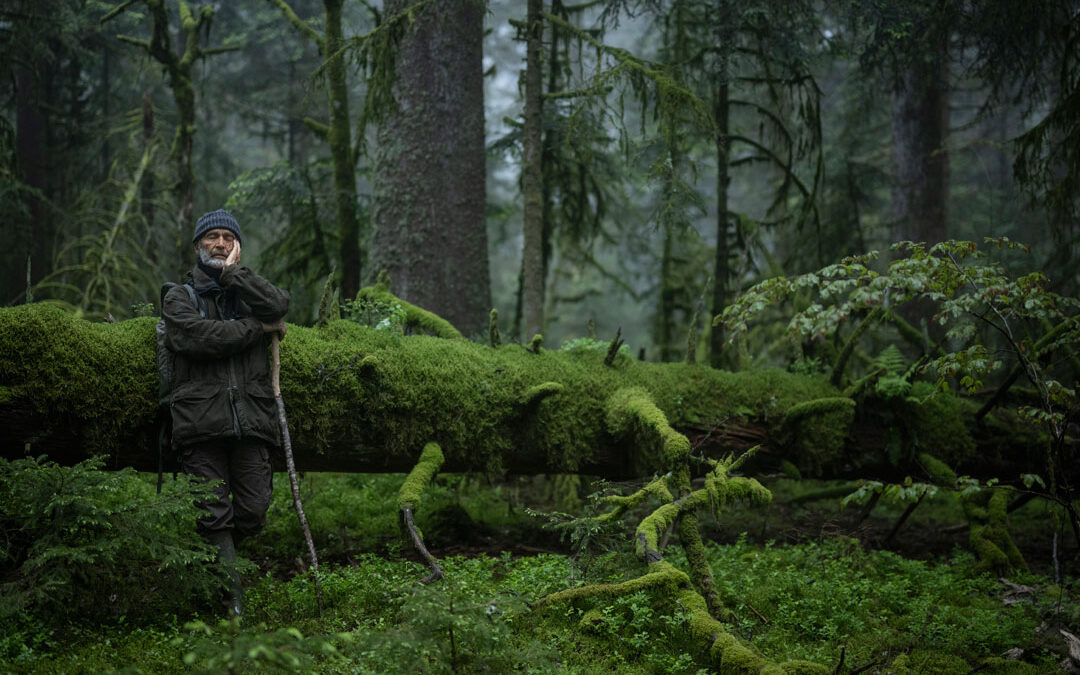 Dans les salles : Le chant des forêts