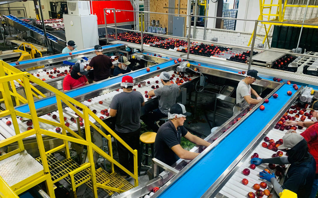 Ernährungssystem: Über den Tellerrand hinaus