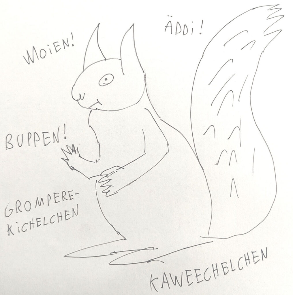 Eine kitzelige Zeichnung eines Eichhörnchens, um das herum Luxemburgische Wörter geschrieben sind.