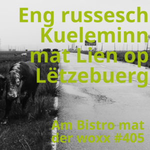Schwaarz-wäiss-Foto vun enger Kou déi an enger Wiss nieft enger Strooss steet. D'Kou ass ganz schwaarz vu Kuelestëbs. Am Hannergrond gesäit ee Camionen, déi Kuel geluede ginn. Doriwwer steet a grénger Schrëft: Russesch Kueleminn mat Lien op Lëtzebuerg. Een Text informéiert ausserdeem, datt et d'Episod Nr. 405 ass.